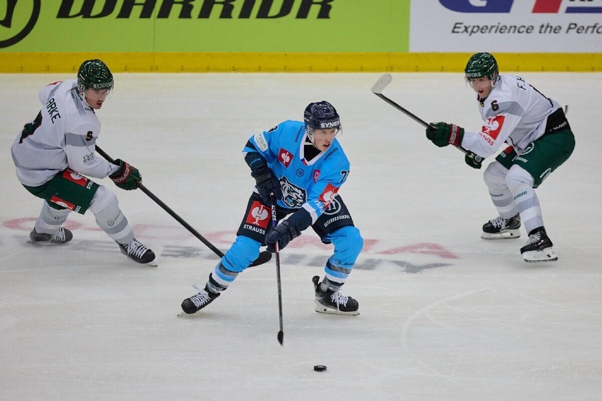 Tomáš Galvas v obležení soupeřů , foto: hcbilitygri.cz